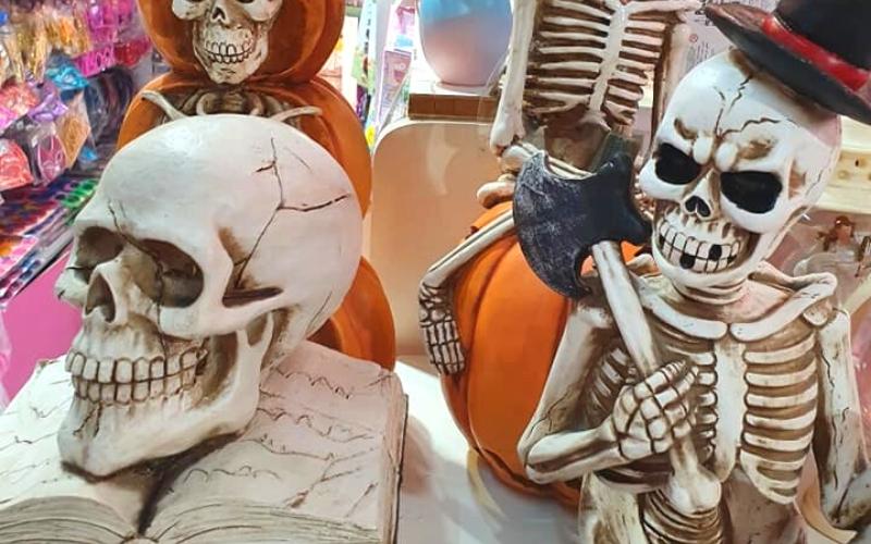 Halloween Skeleton Props in Paradise City