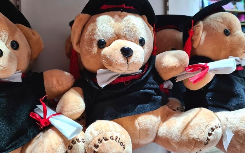 Soft Toy Graduation Bears in Paradise City